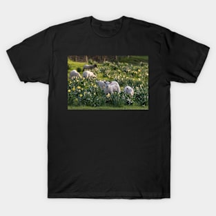 Spring Lambs #1 T-Shirt